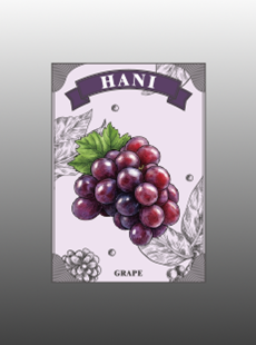 HANI一代煙彈 OO口味